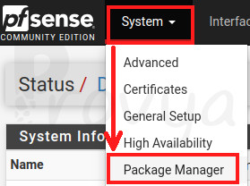 System > Package Manager - pfSense - Provya